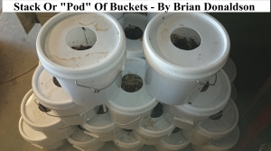 Worms for worm farms and fishing bait bucket pod stack      